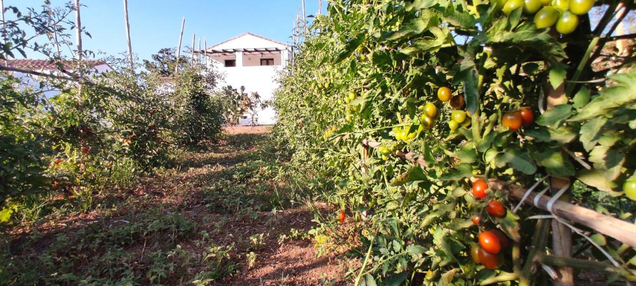 מלון Tertenìa Cort'E Nastasj מראה חיצוני תמונה